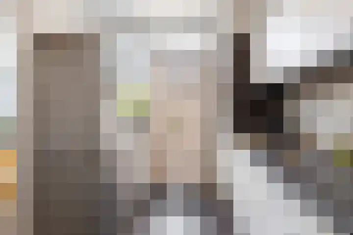 Mollegang 84 Oss thumbnail 8