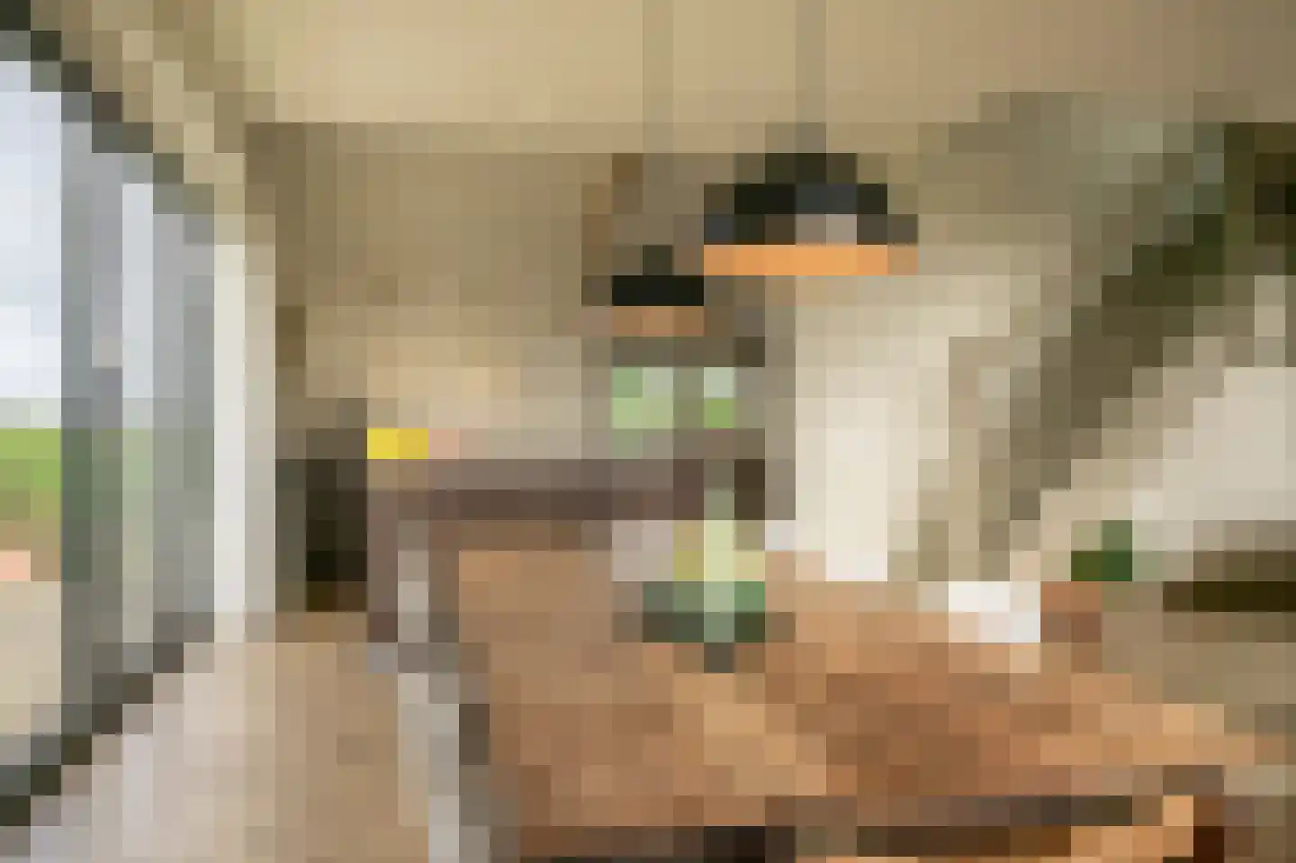 Mollekade 27 Heinenoord thumbnail 11