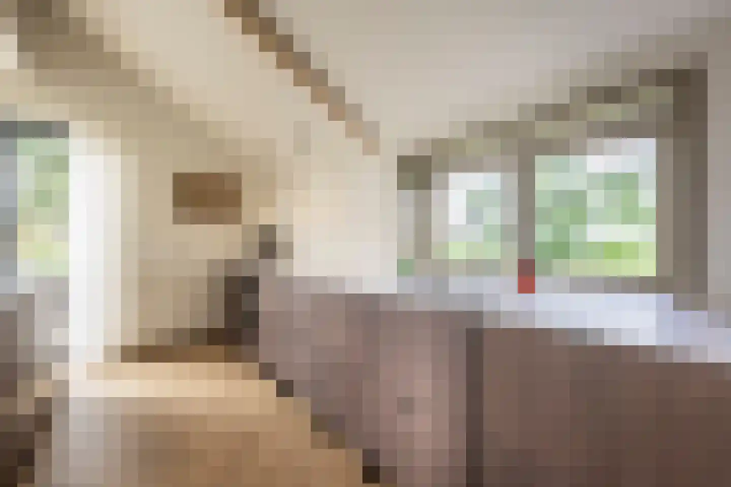 Mollekade 27 Heinenoord thumbnail 16