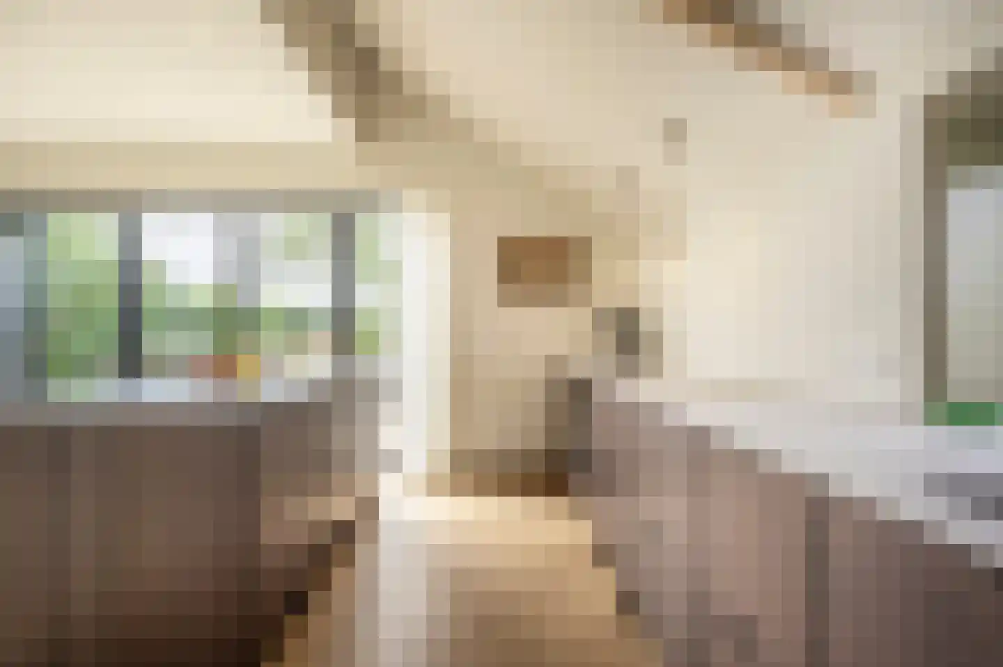 Mollekade 27 Heinenoord thumbnail 17