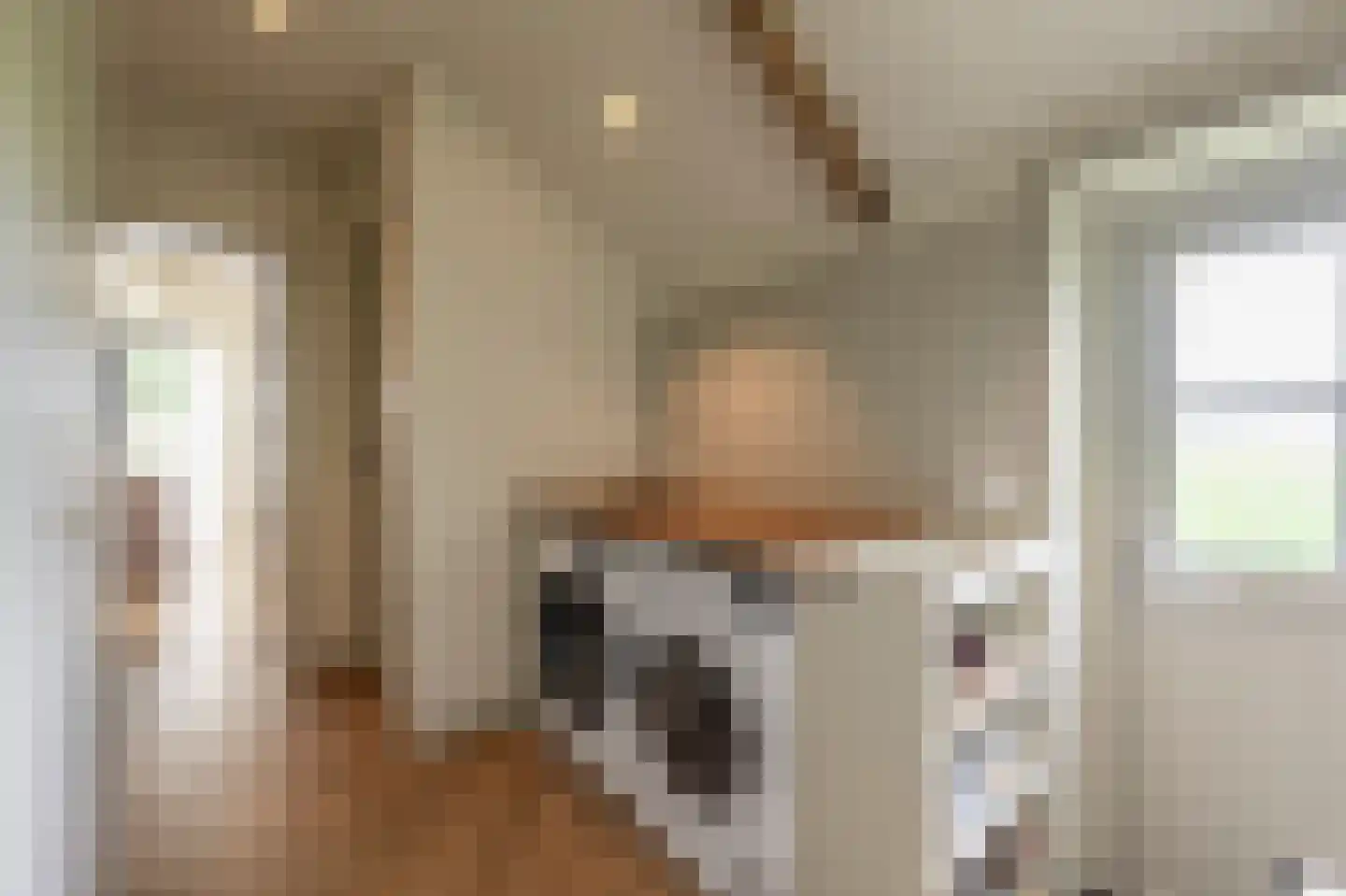 Mollekade 27 Heinenoord thumbnail 21