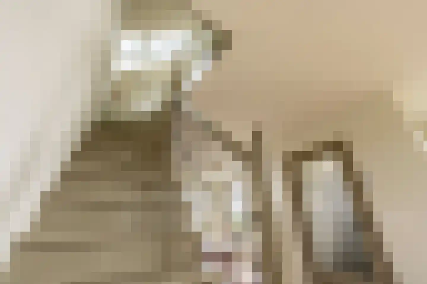 Mollekade 27 Heinenoord thumbnail 26
