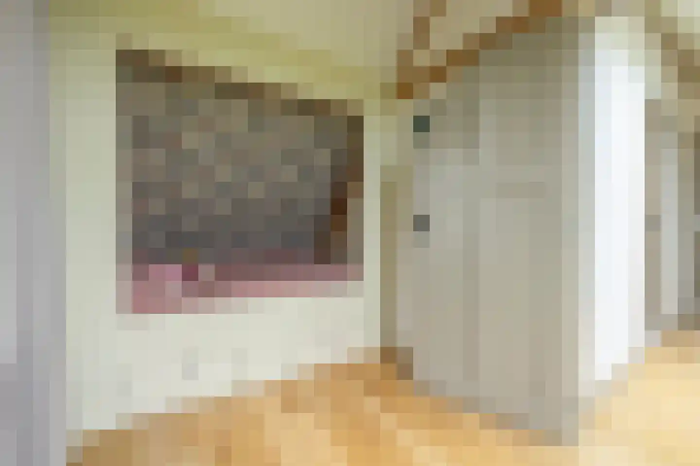Mollekade 27 Heinenoord thumbnail 30