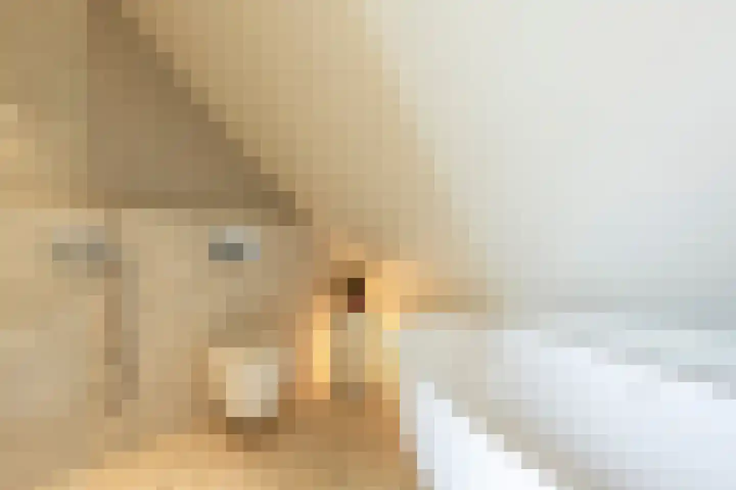 Mollekade 27 Heinenoord thumbnail 34
