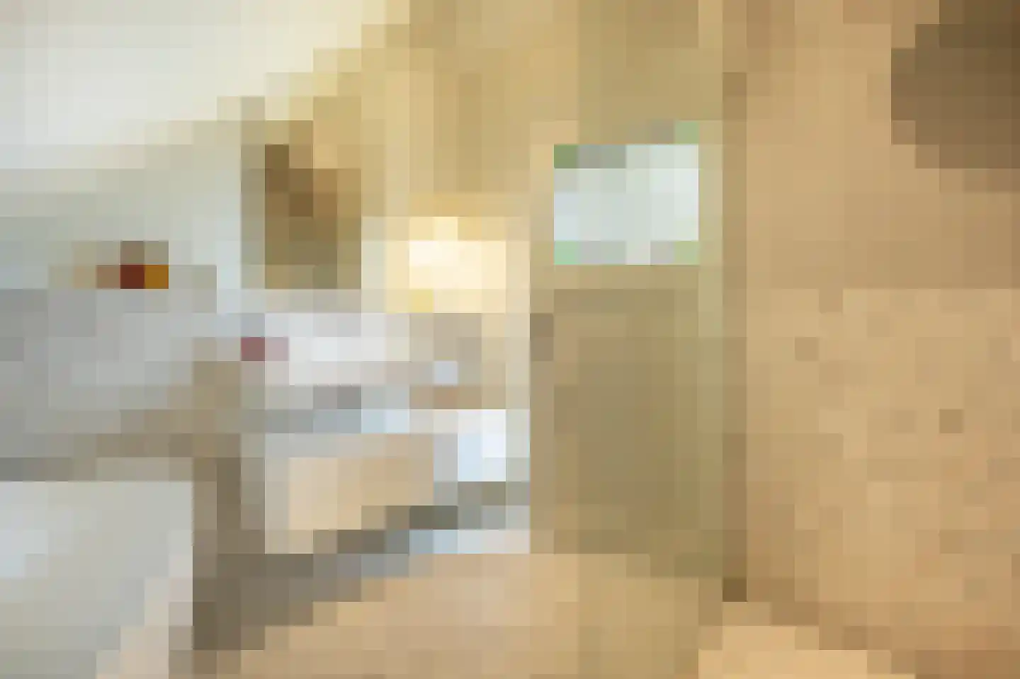 Mollekade 27 Heinenoord thumbnail 36