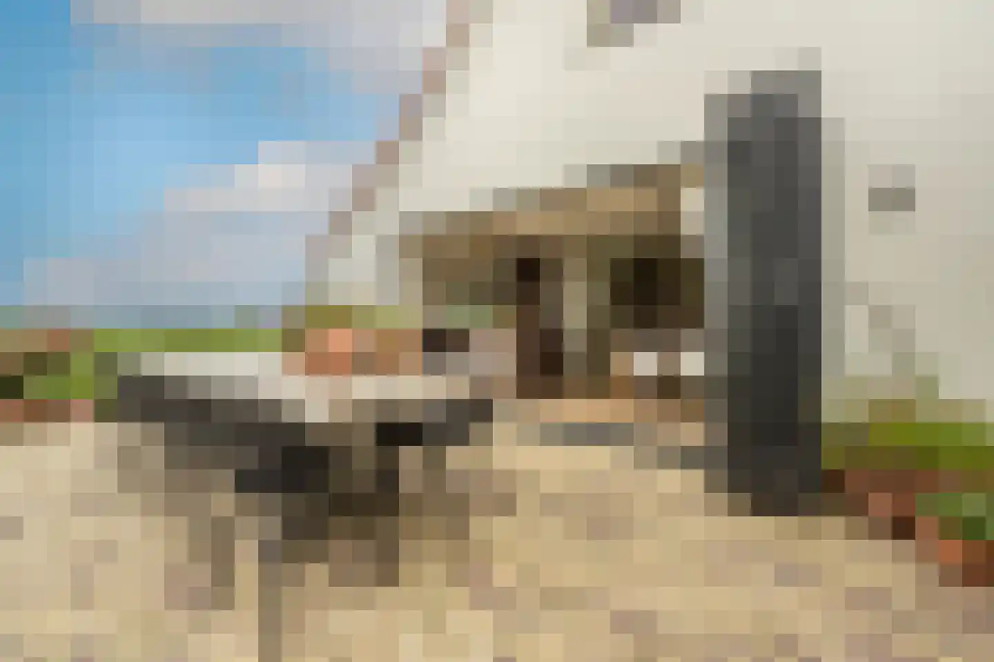 Mollekade 27 Heinenoord thumbnail 4