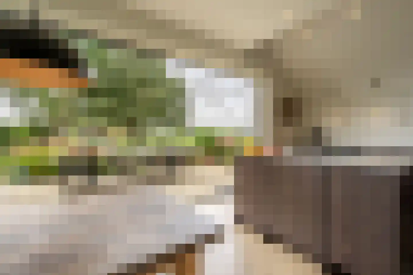 Mollekade 27 Heinenoord thumbnail 44