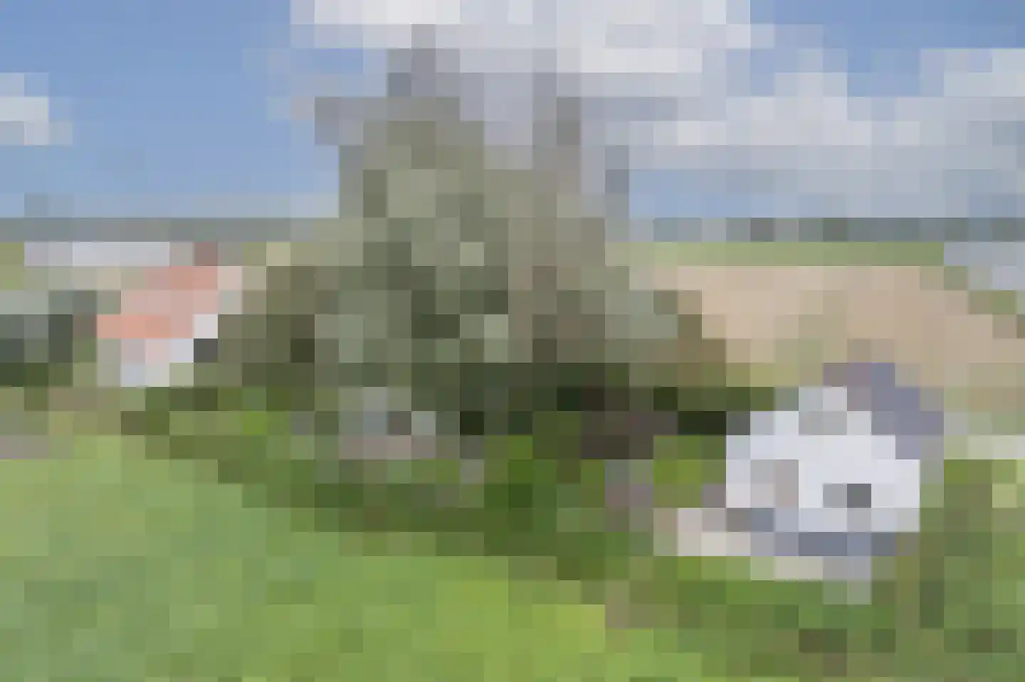 Mollekade 27 Heinenoord thumbnail 48