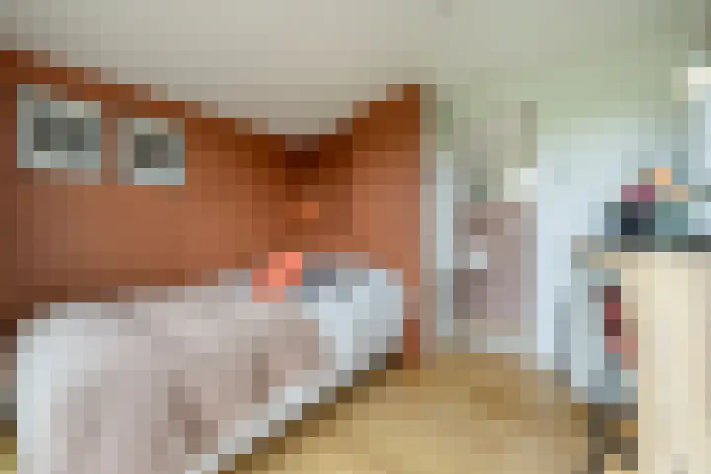 Mollekade 27 Heinenoord thumbnail 50