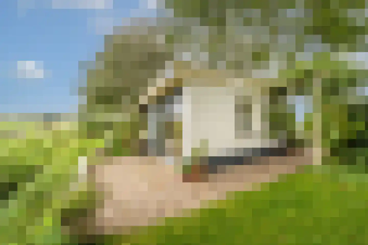 Mollekade 27 Heinenoord thumbnail 54
