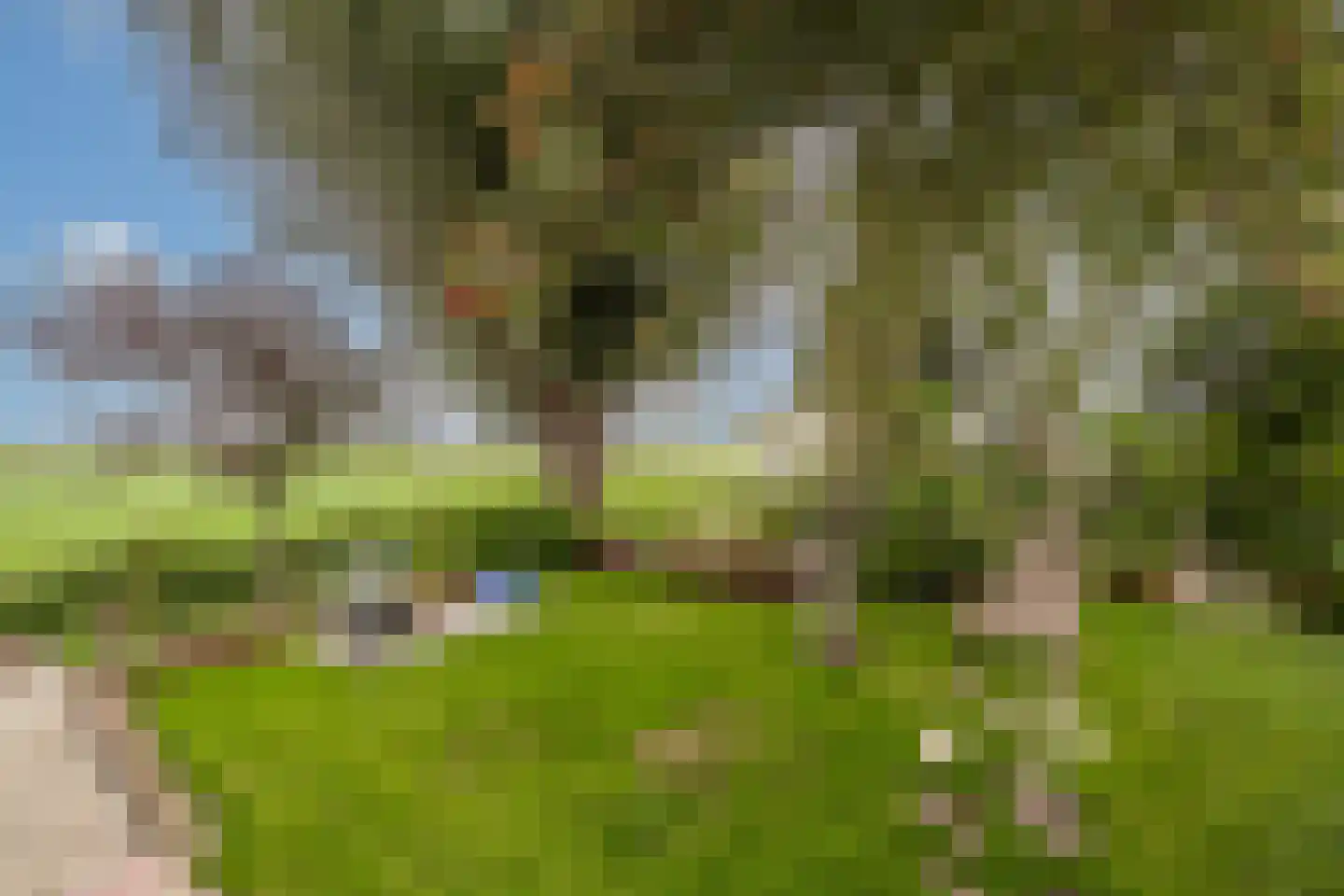 Mollekade 27 Heinenoord thumbnail 56