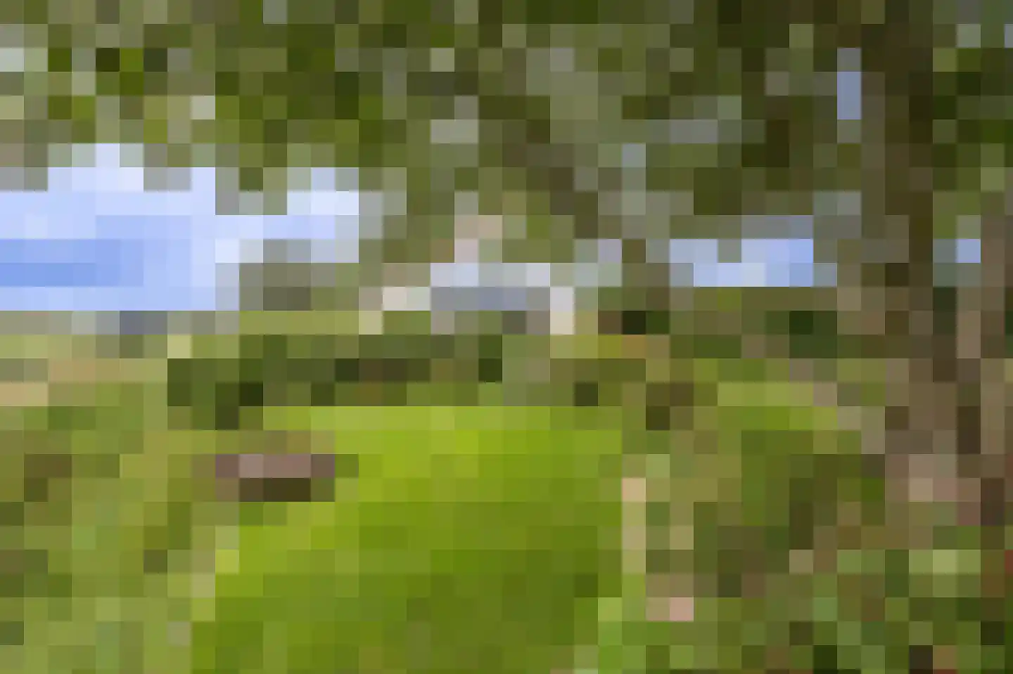 Mollekade 27 Heinenoord thumbnail 58