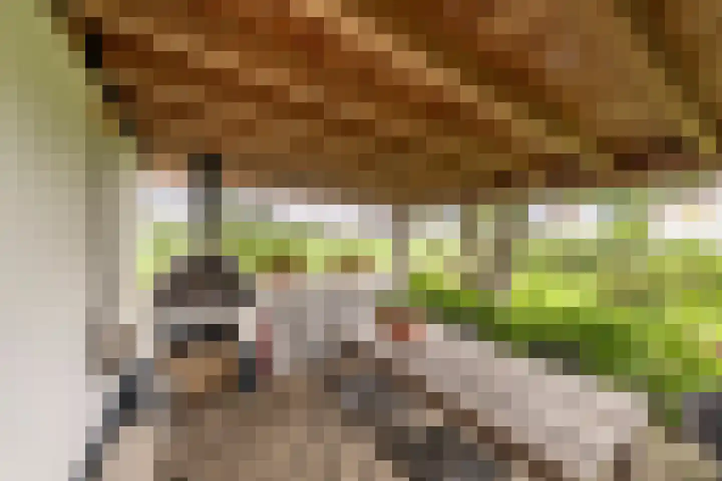 Mollekade 27 Heinenoord thumbnail 61