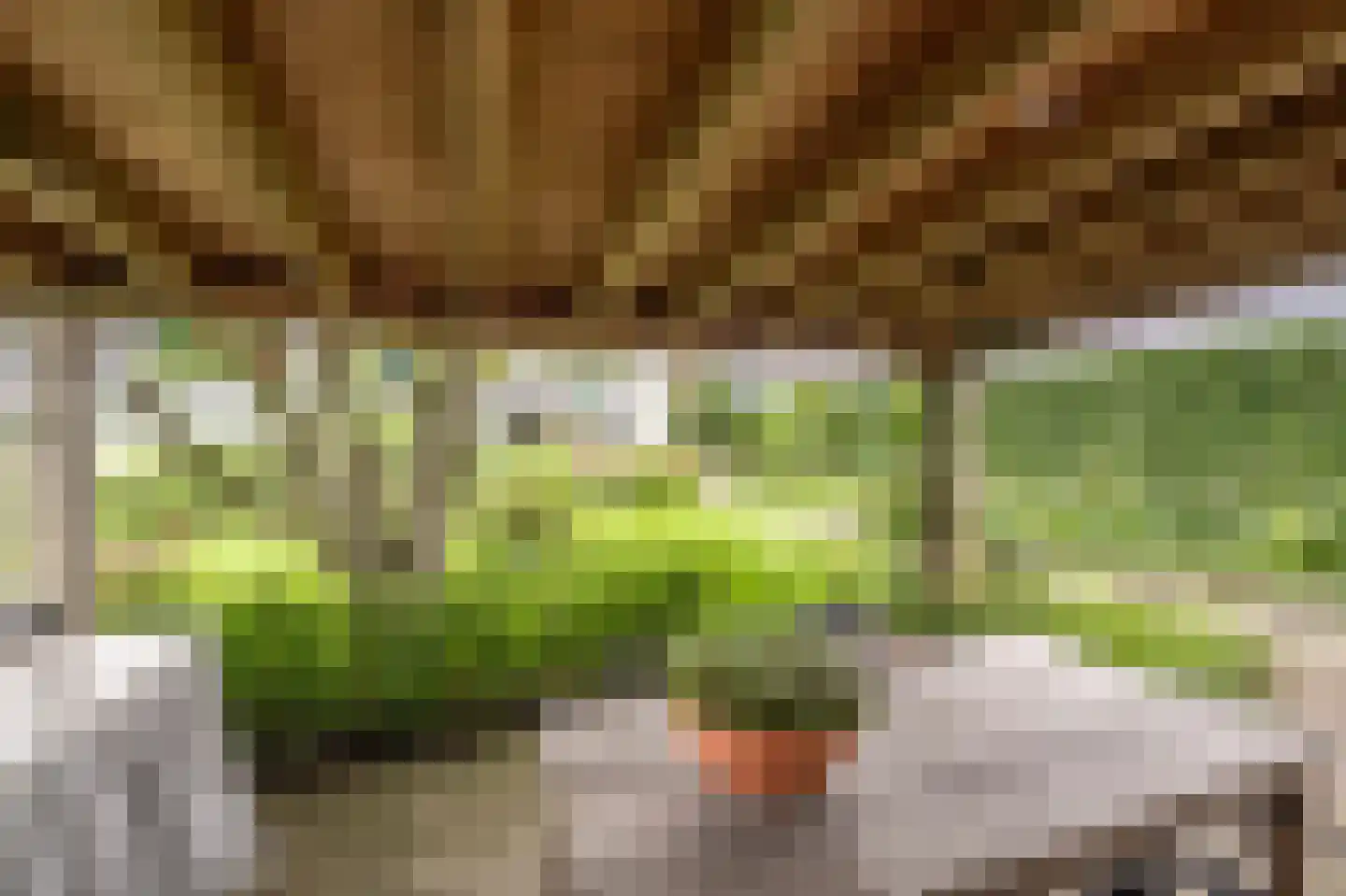 Mollekade 27 Heinenoord thumbnail 62