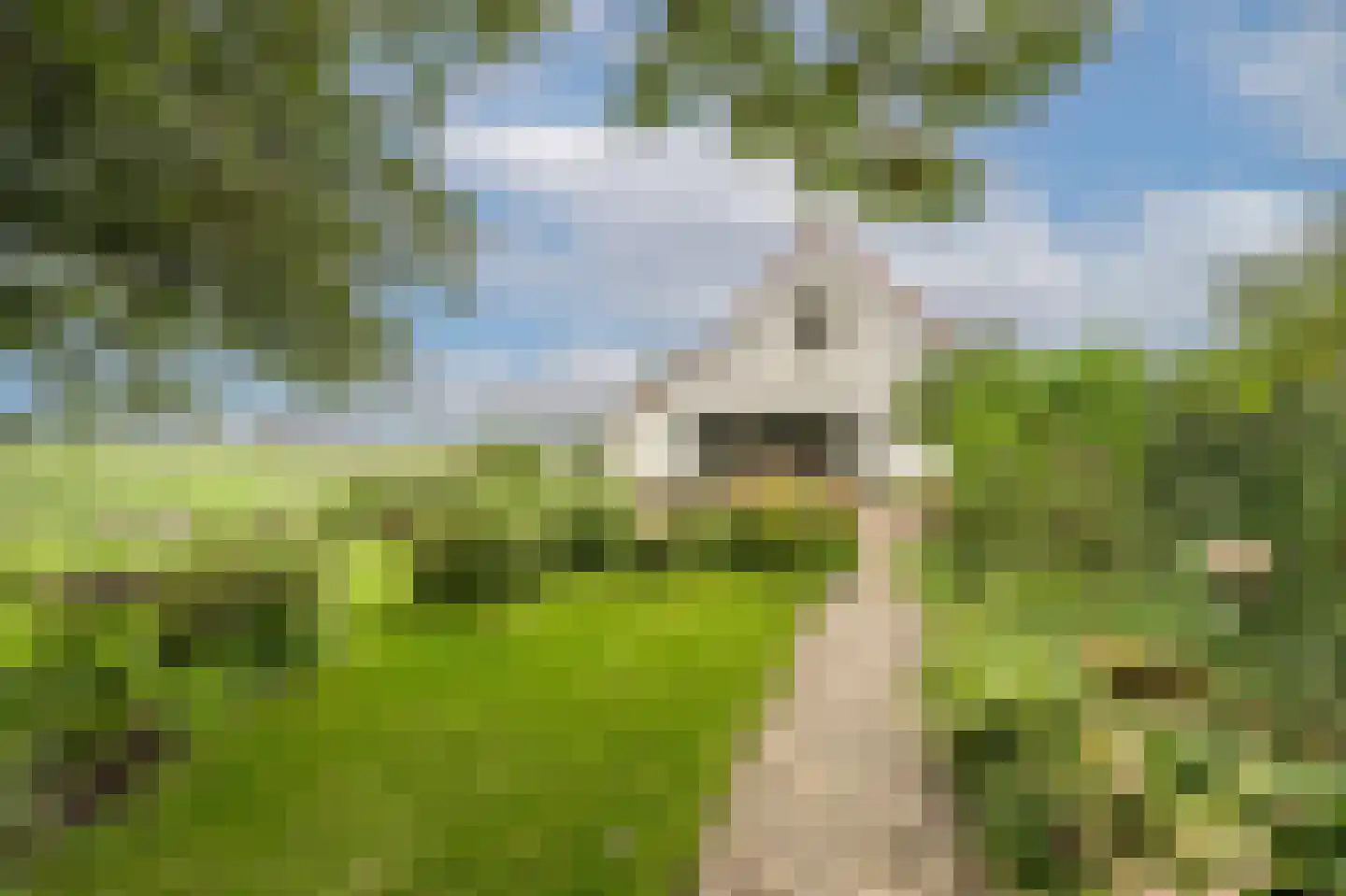 Mollekade 27 Heinenoord thumbnail 63