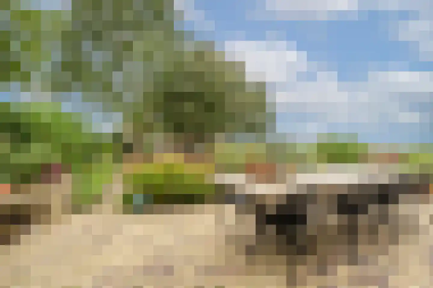 Mollekade 27 Heinenoord thumbnail 66
