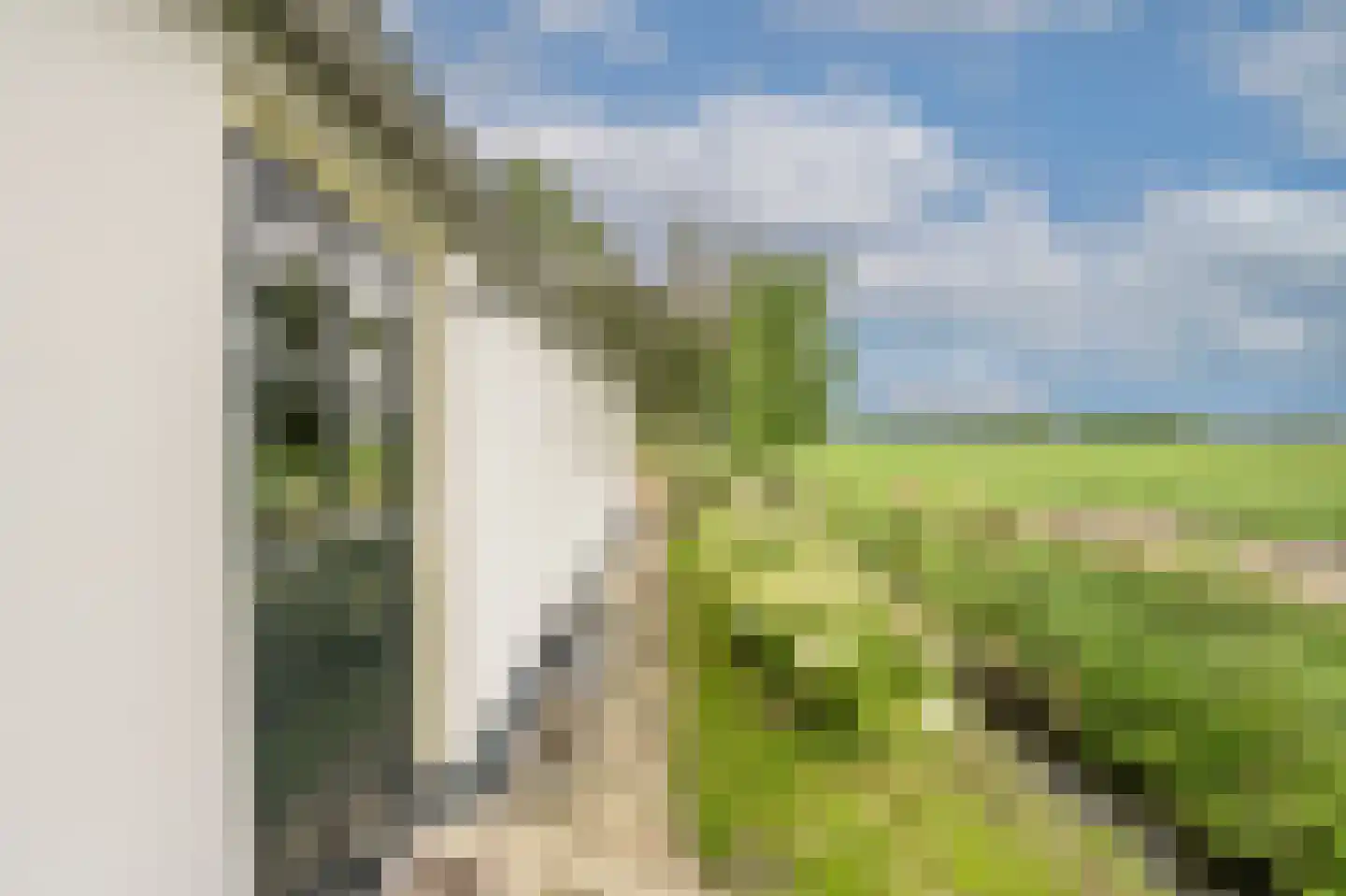 Mollekade 27 Heinenoord thumbnail 69