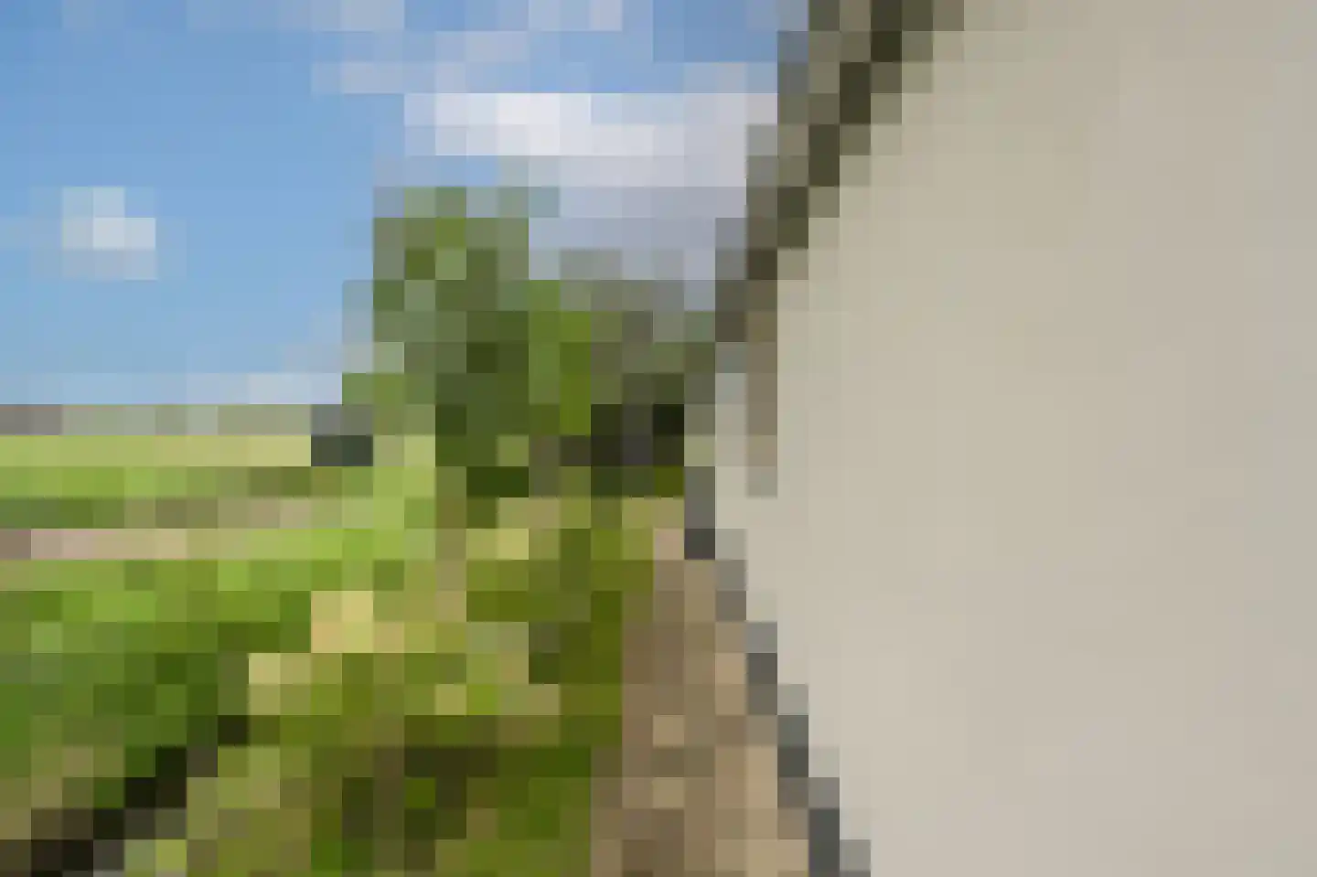 Mollekade 27 Heinenoord thumbnail 70
