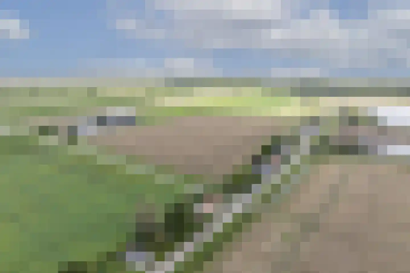 Mollekade 27 Heinenoord thumbnail 75