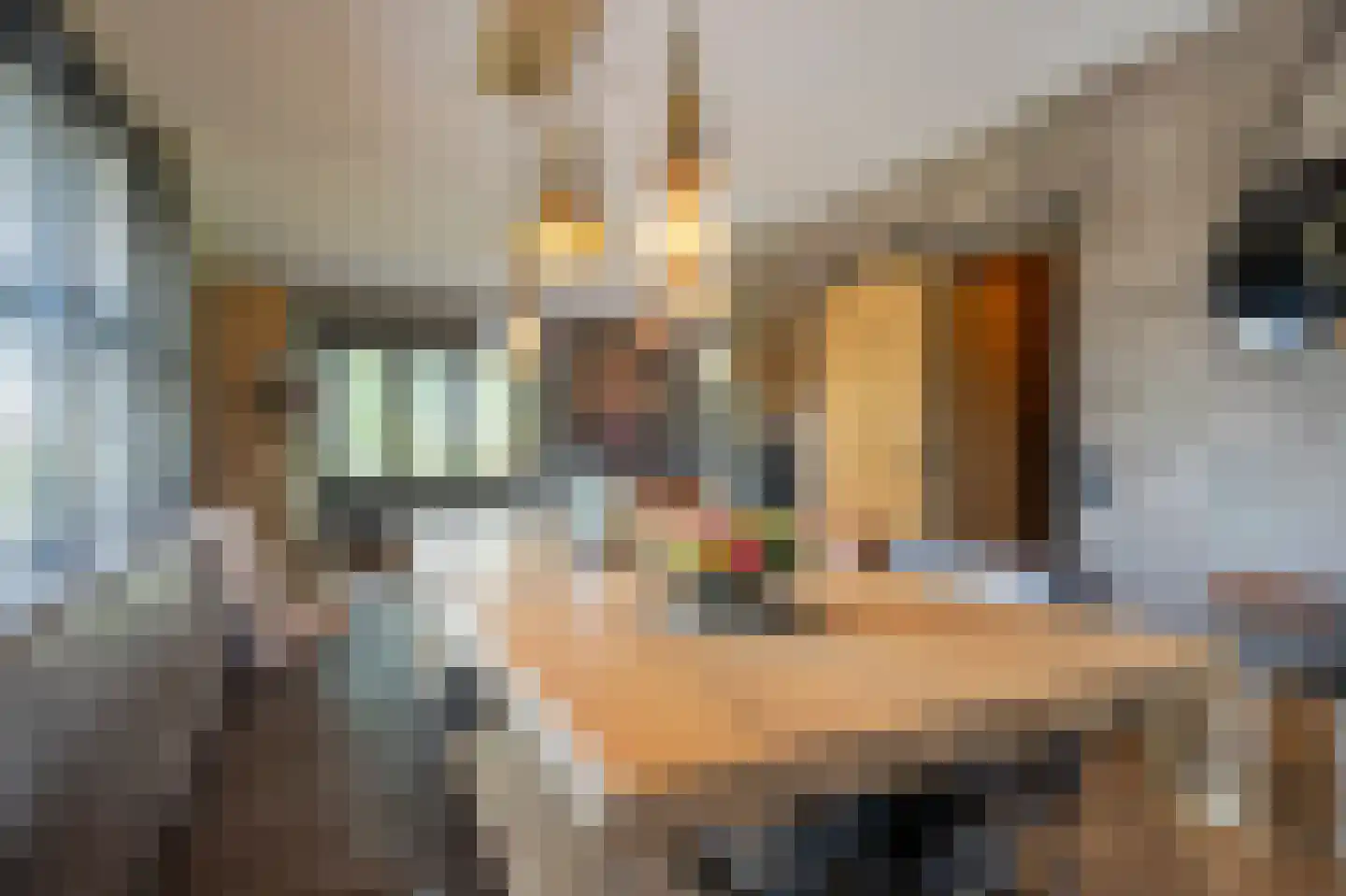 Mollekade 28 Heinenoord thumbnail 13
