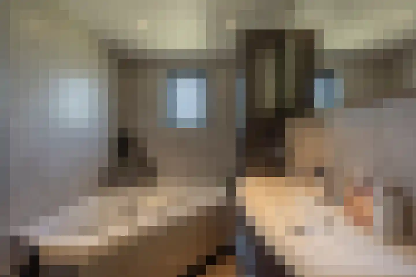 Mollekade 28 Heinenoord thumbnail 26