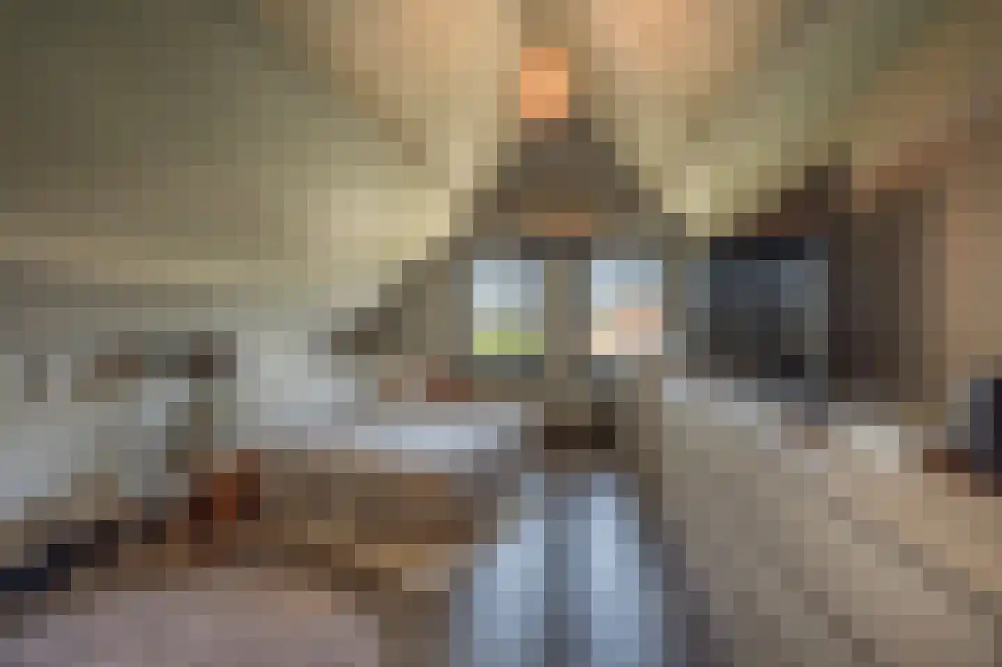Mollekade 28 Heinenoord thumbnail 32