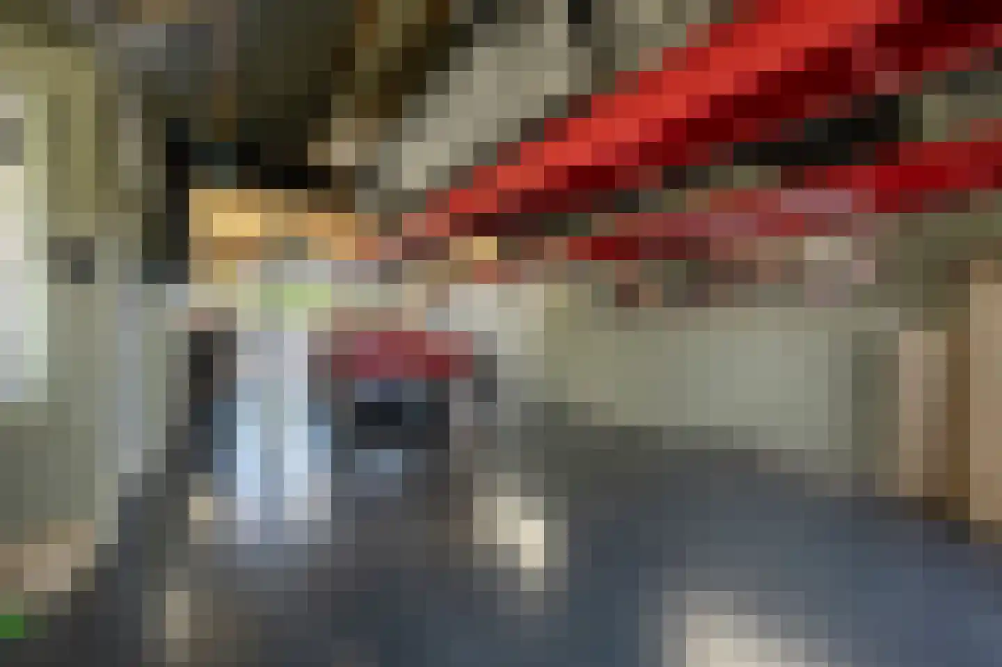 Mollekade 28 Heinenoord thumbnail 42
