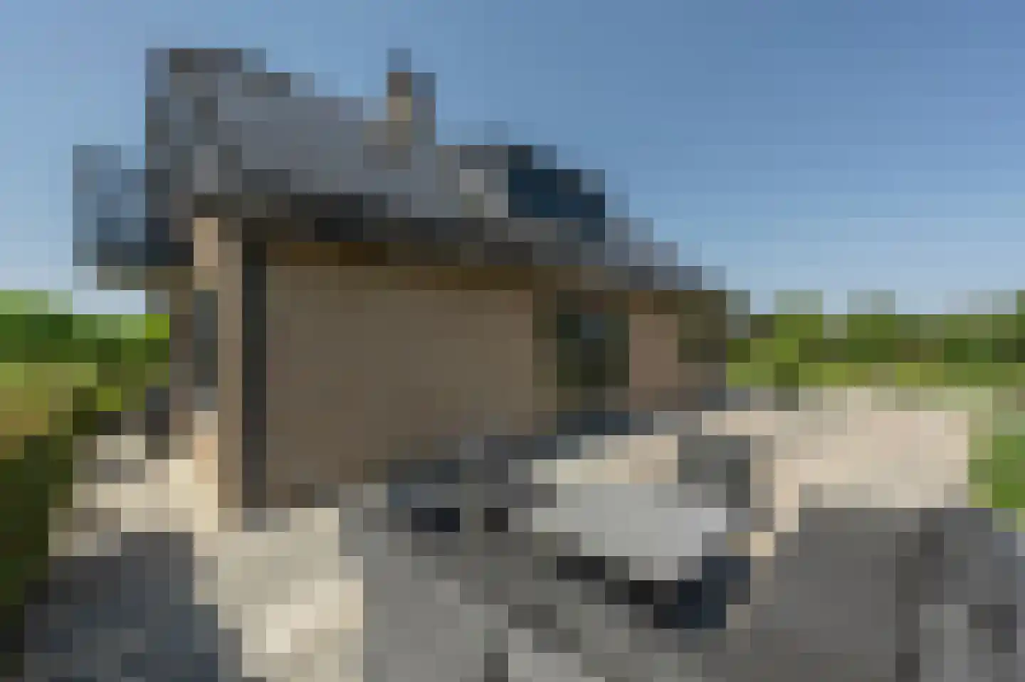 Mollekade 28 Heinenoord thumbnail 47