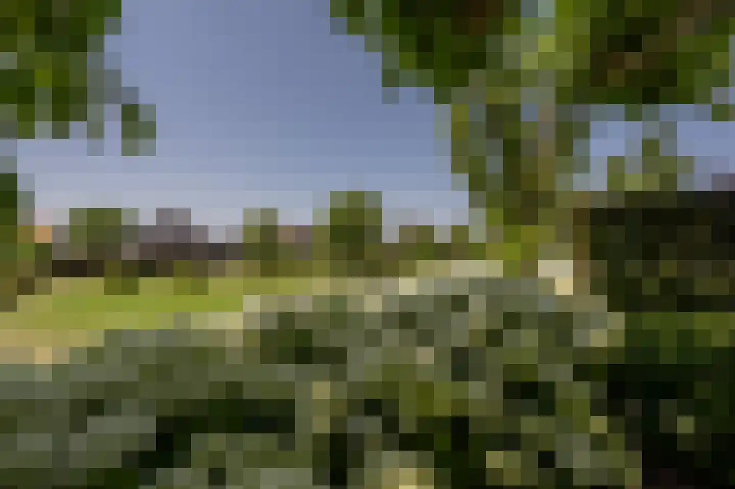 Mollekade 28 Heinenoord thumbnail 51