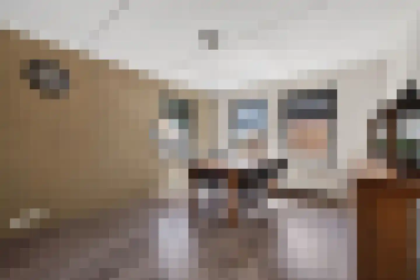 Mollemastraat 18 Zwartemeer thumbnail 10