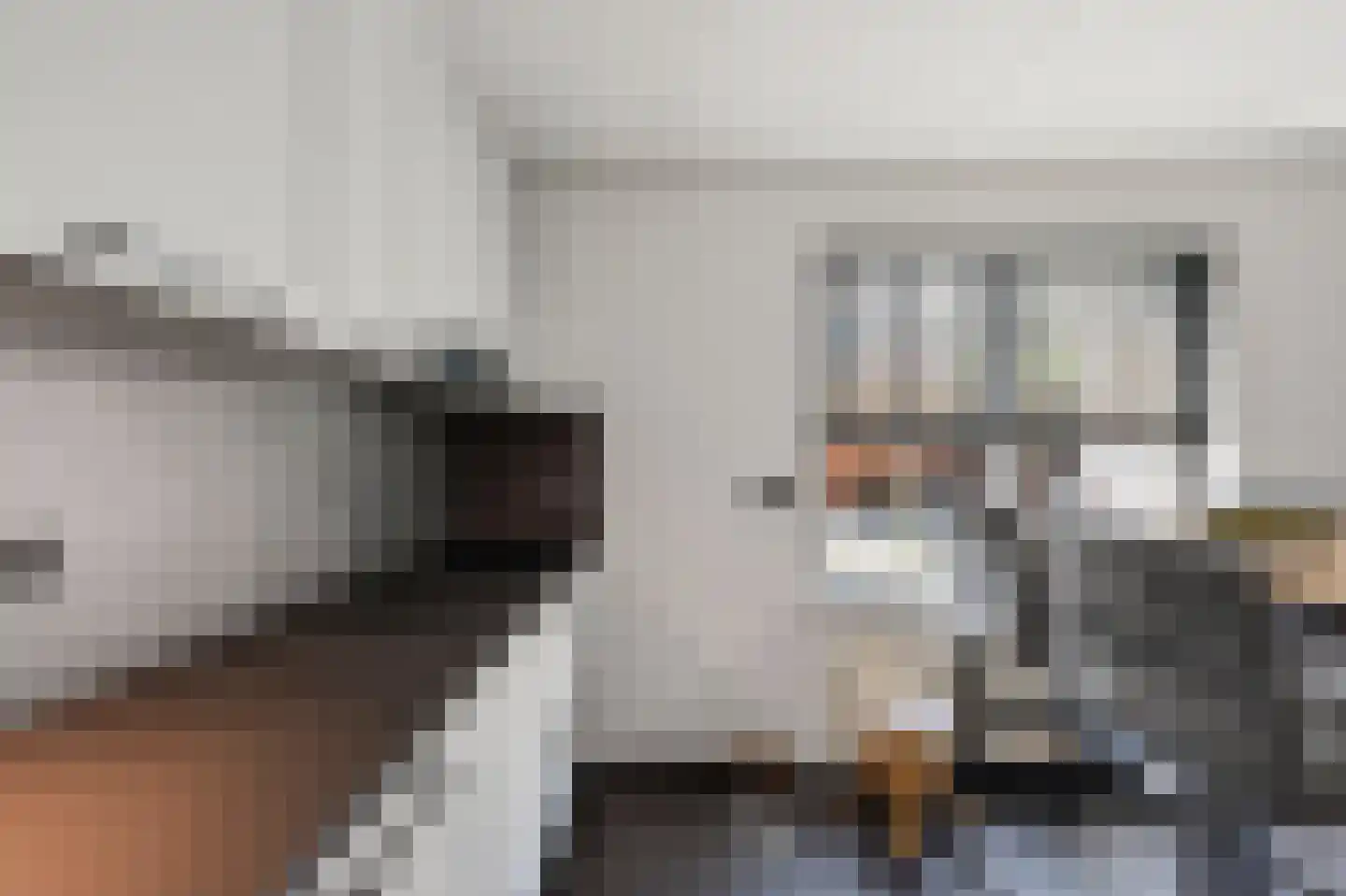 Mollemastraat 18 Zwartemeer thumbnail 17
