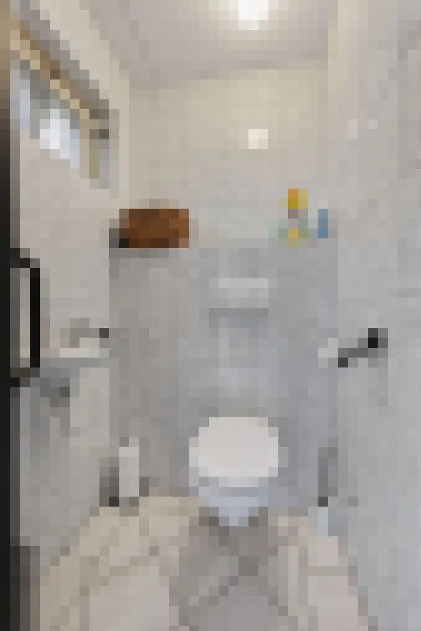 Mollemastraat 18 Zwartemeer thumbnail 21