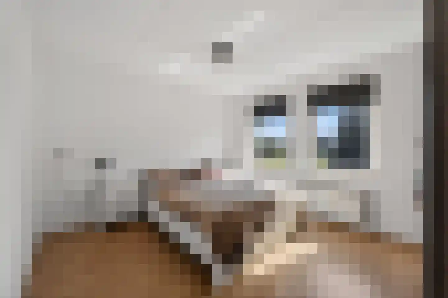Mollemastraat 18 Zwartemeer thumbnail 25