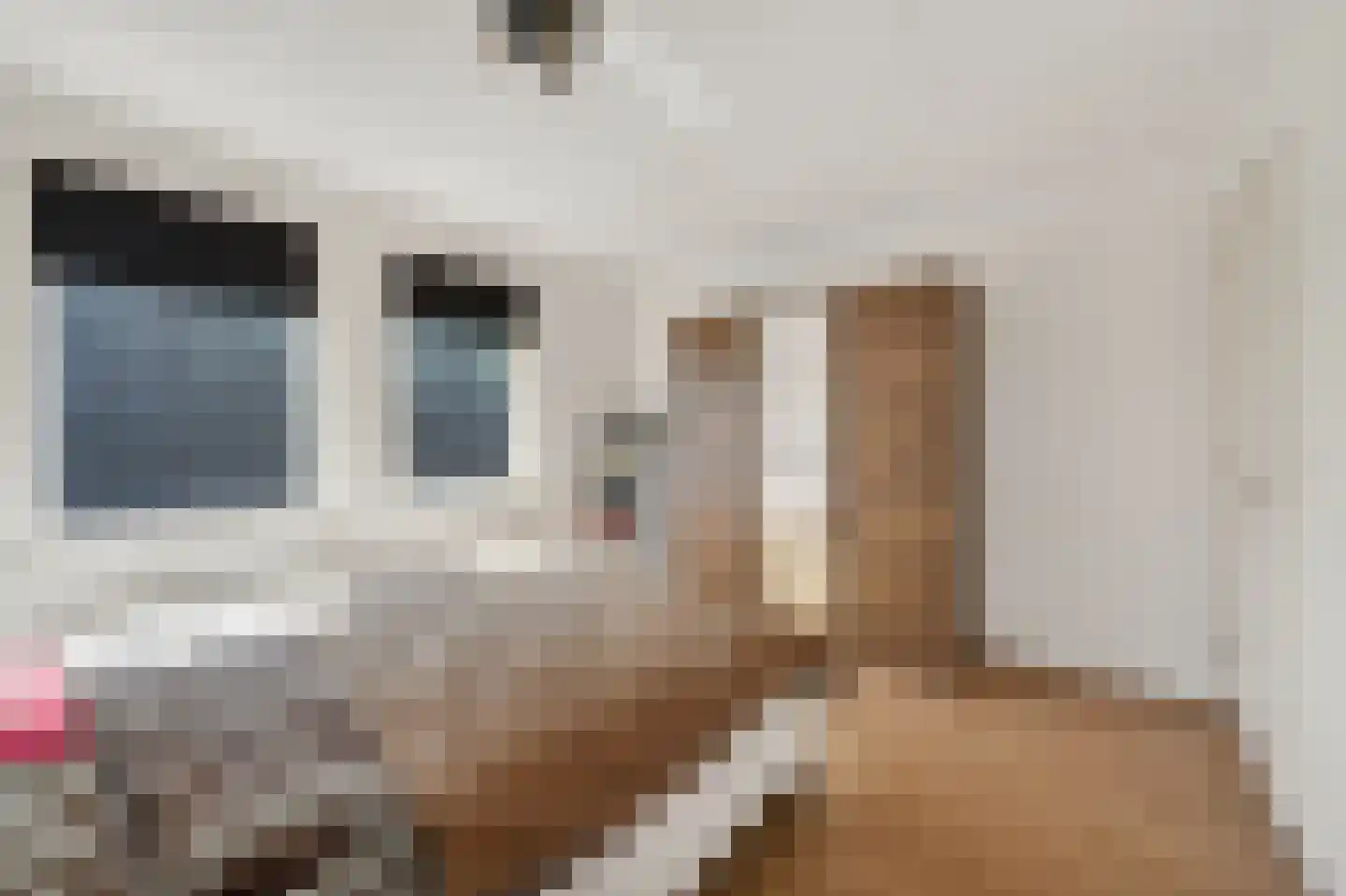 Mollemastraat 18 Zwartemeer thumbnail 26