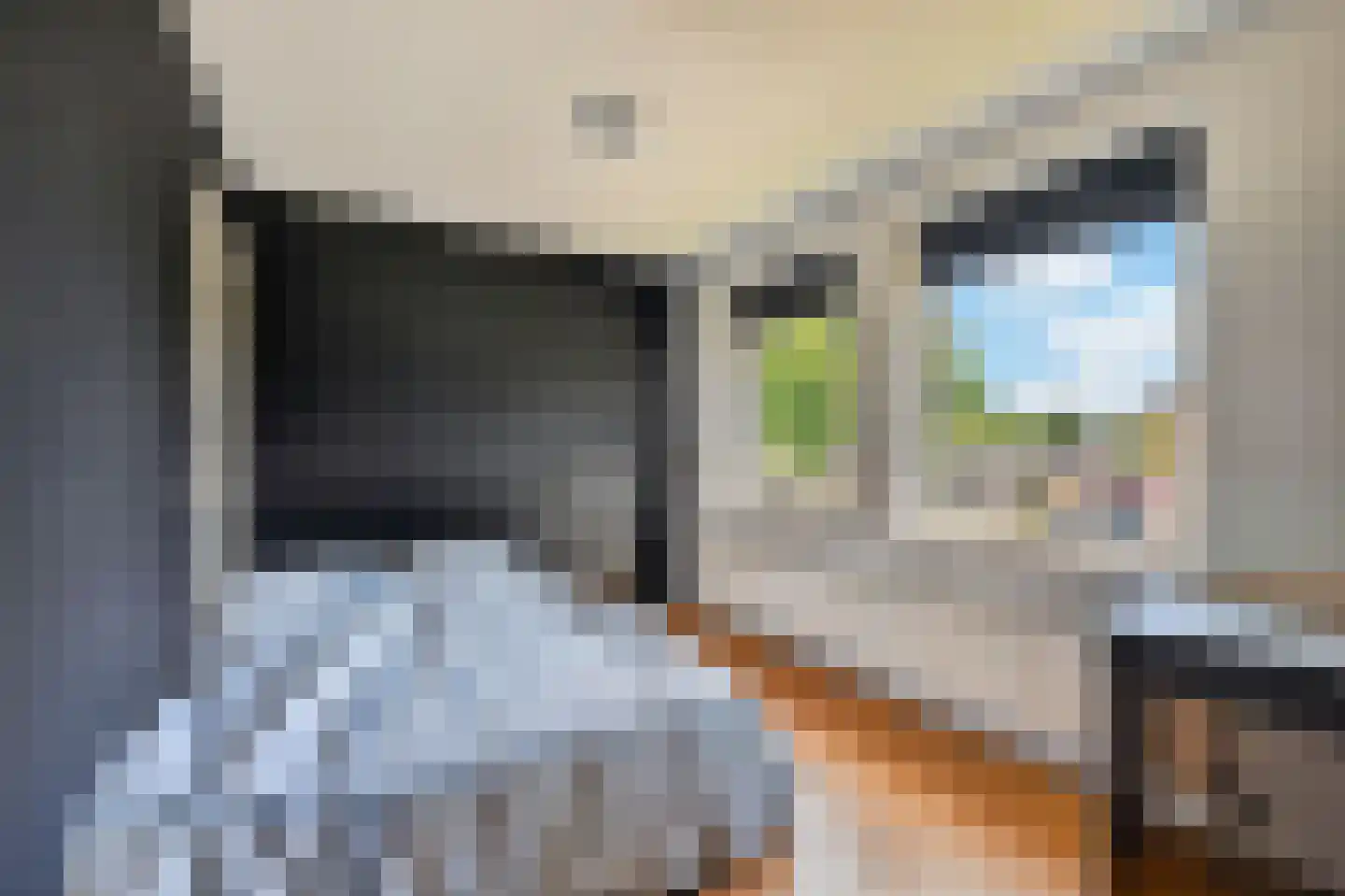 Mollemastraat 18 Zwartemeer thumbnail 27