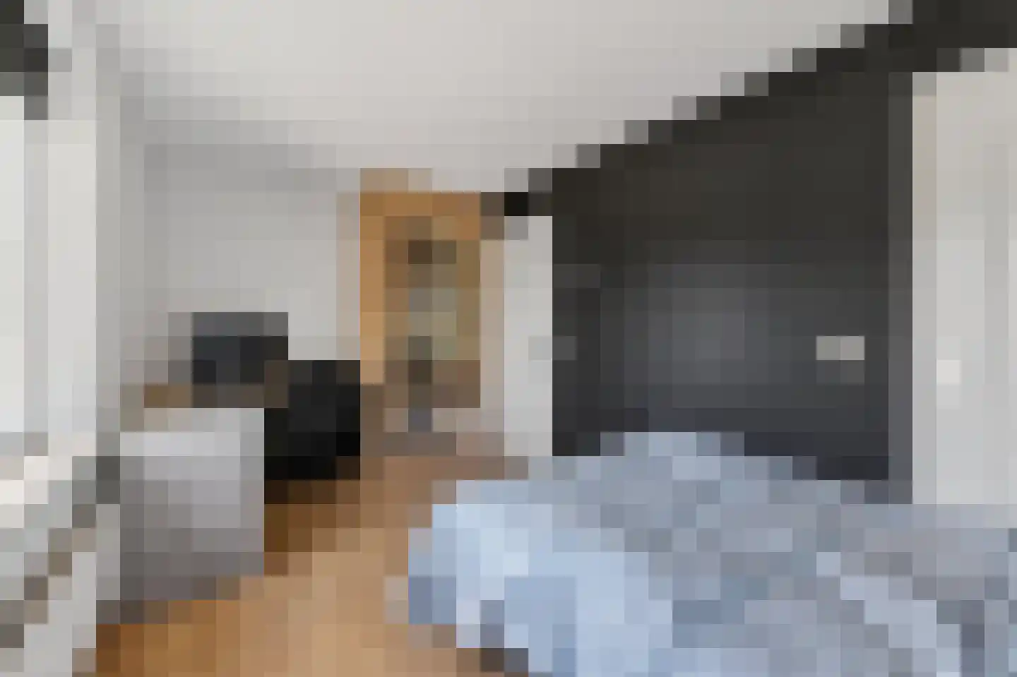 Mollemastraat 18 Zwartemeer thumbnail 28