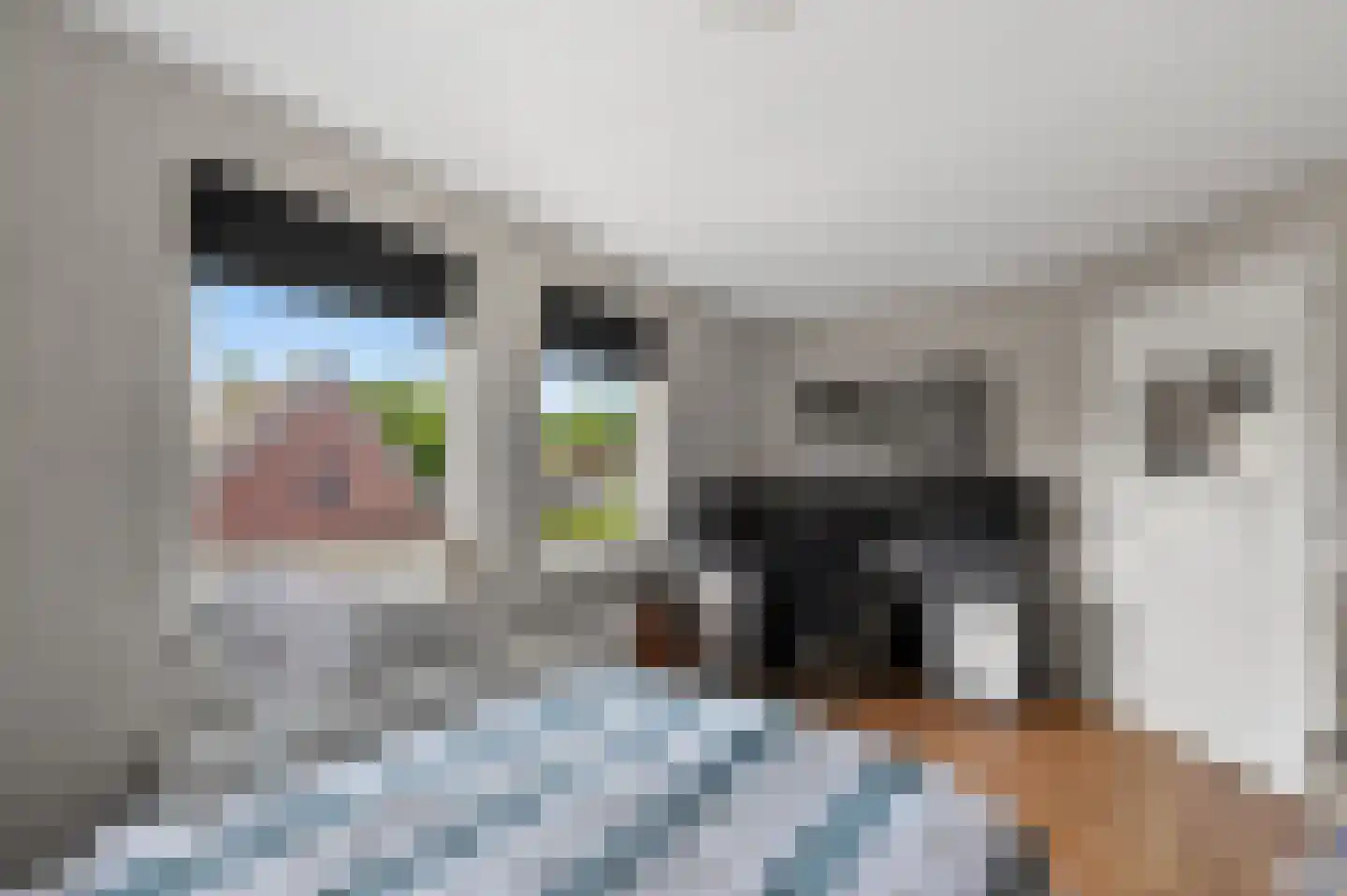 Mollemastraat 18 Zwartemeer thumbnail 30