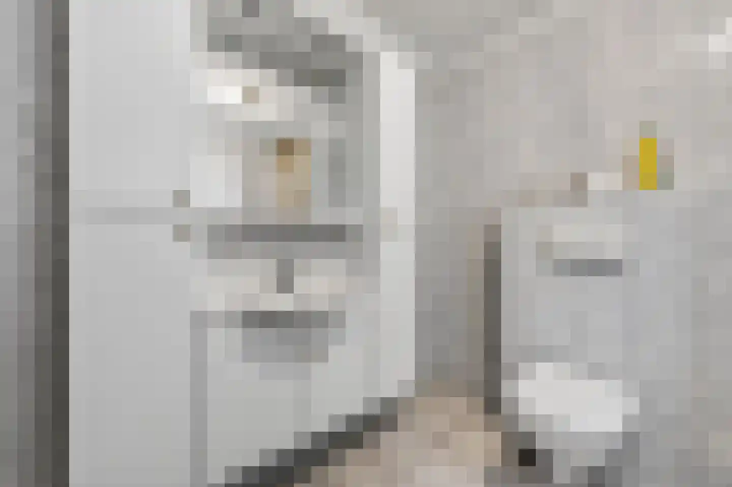 Mollemastraat 18 Zwartemeer thumbnail 33