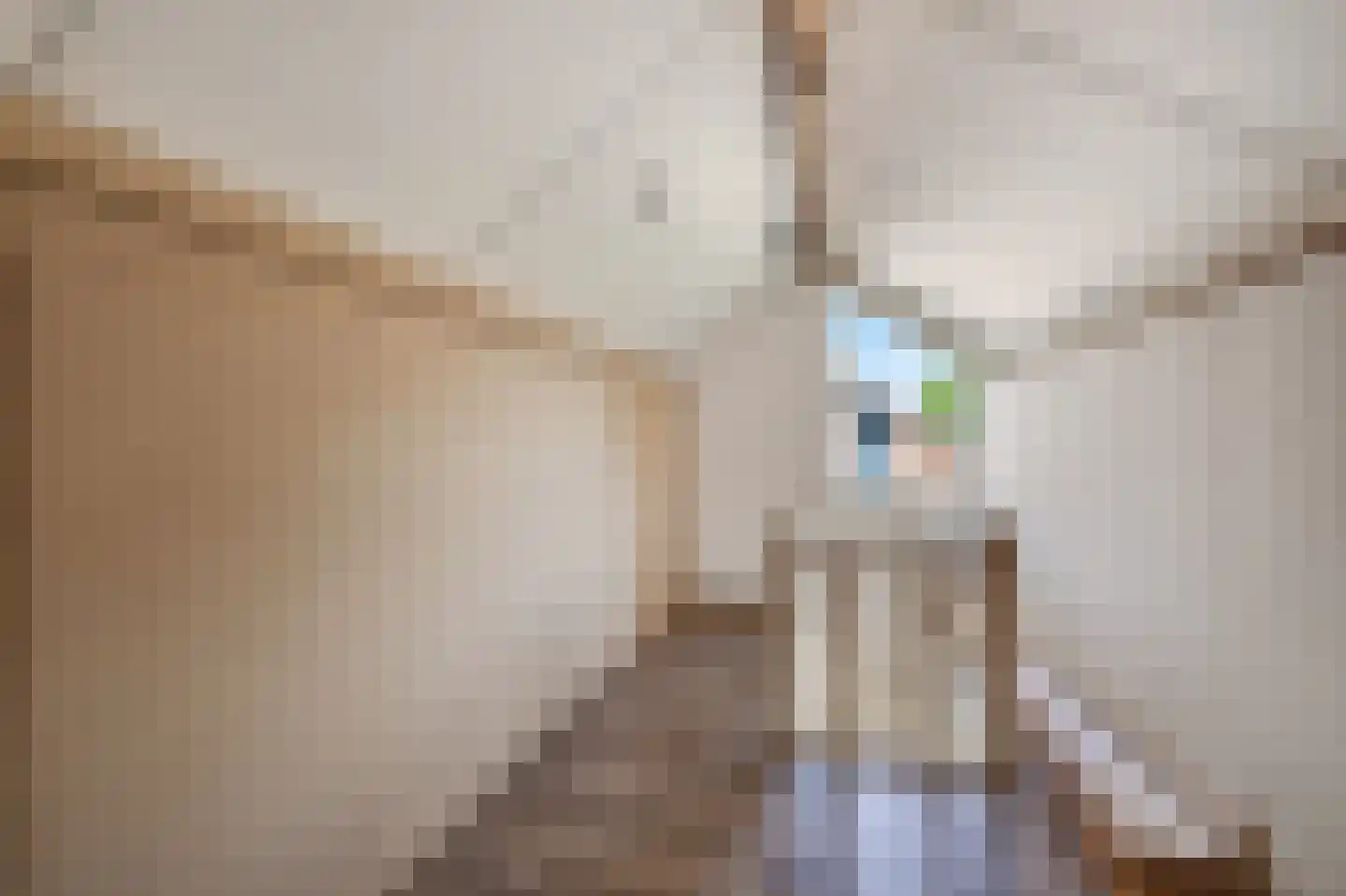 Mollemastraat 18 Zwartemeer thumbnail 34