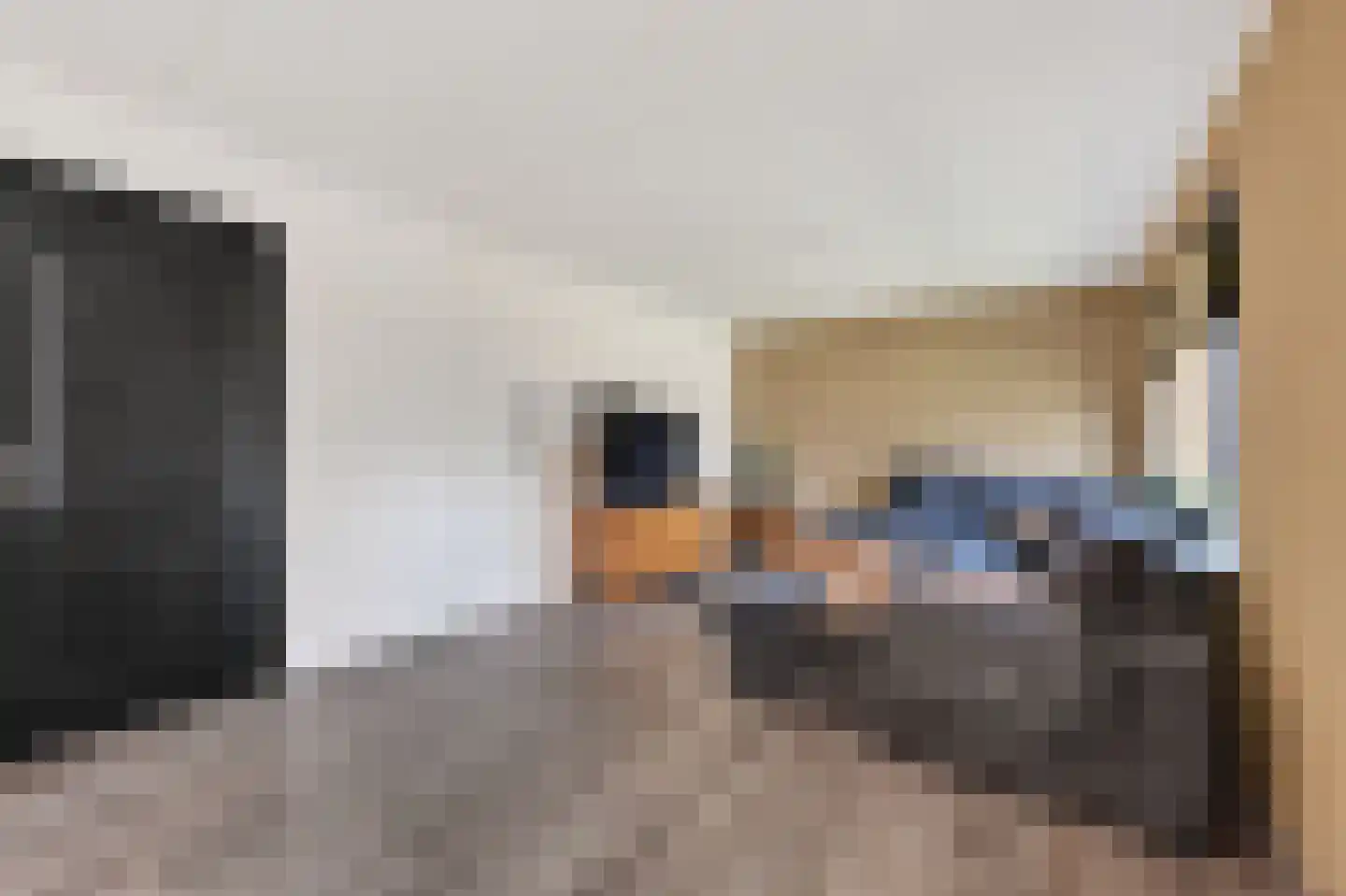 Mollemastraat 18 Zwartemeer thumbnail 6