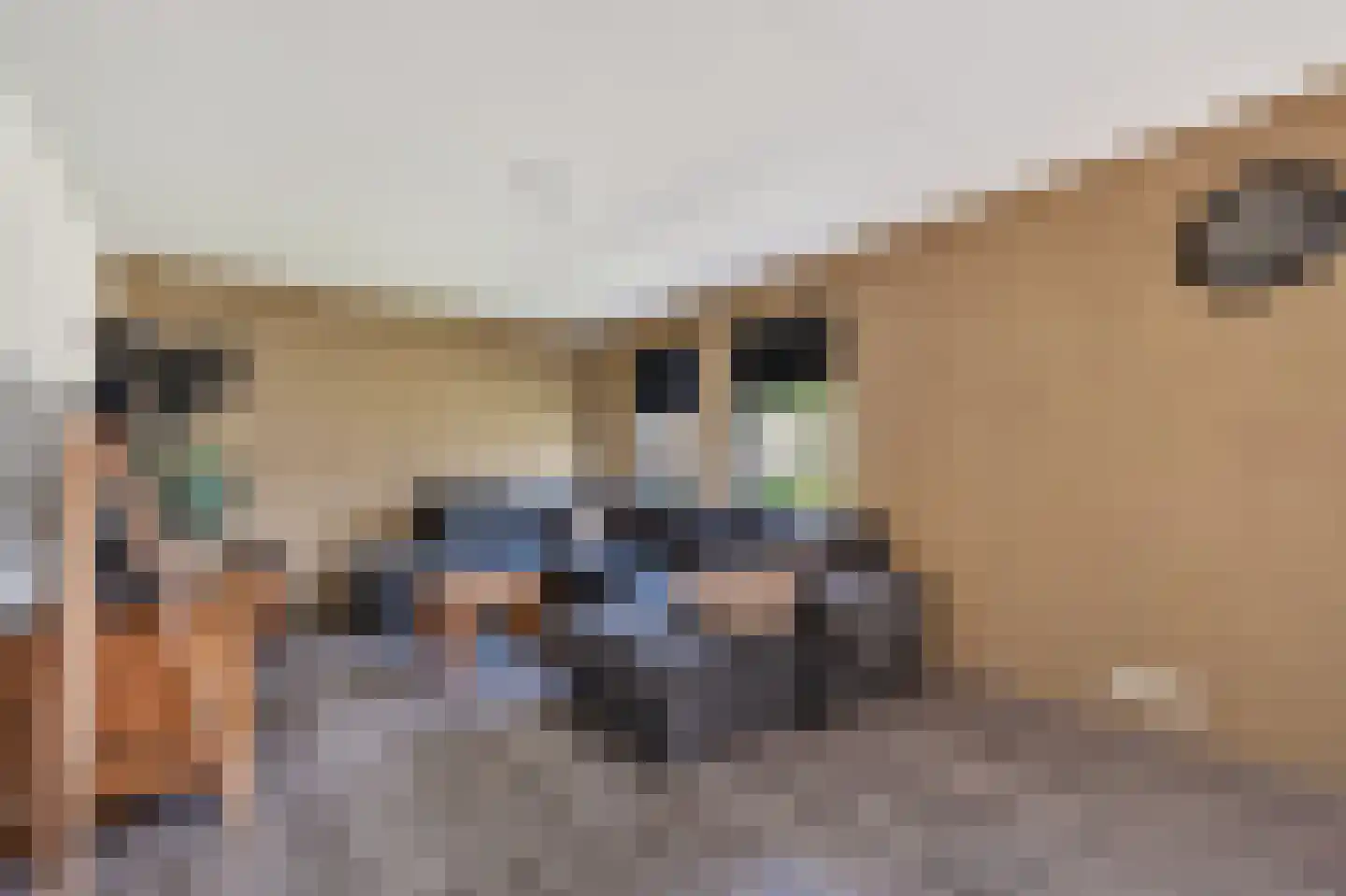 Mollemastraat 18 Zwartemeer thumbnail 7