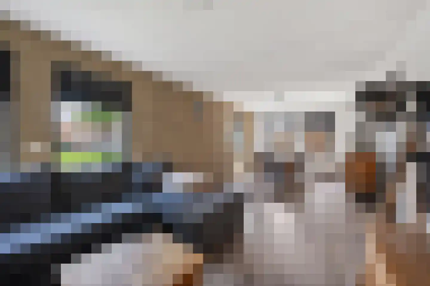Mollemastraat 18 Zwartemeer thumbnail 8