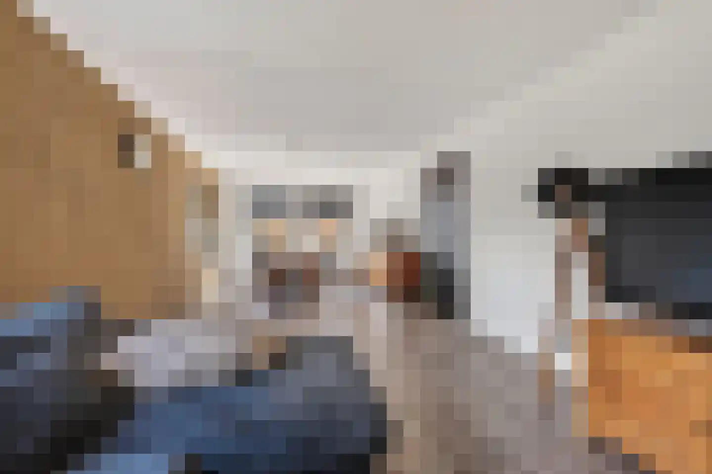 Mollemastraat 18 Zwartemeer thumbnail 9
