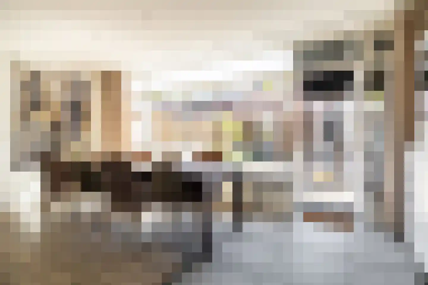 Mollenberg 2 Breda thumbnail 10