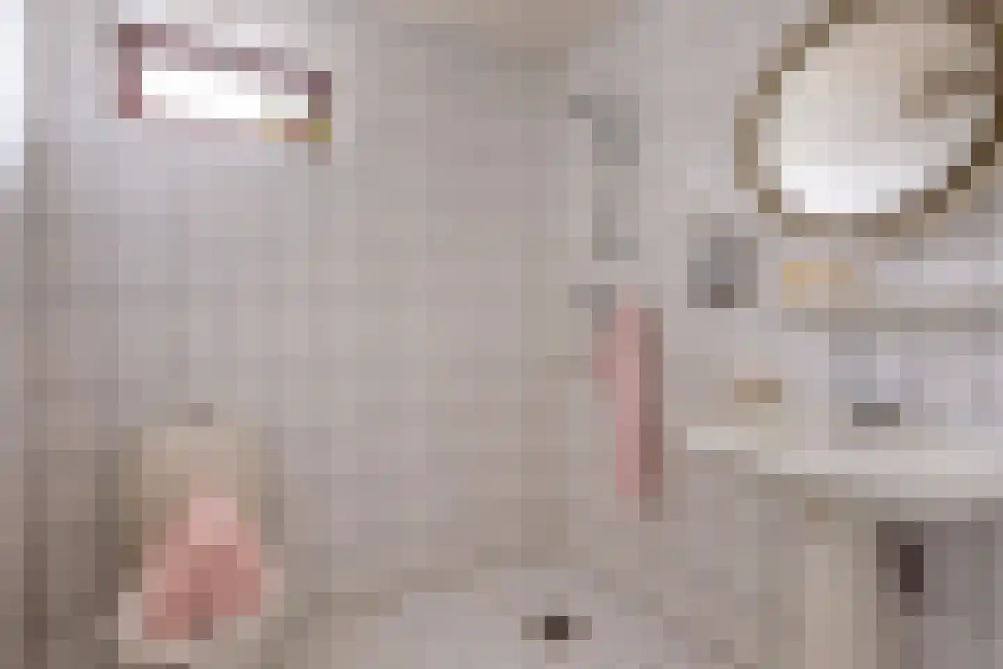 Möllenbergstraat 1 Losser thumbnail 12