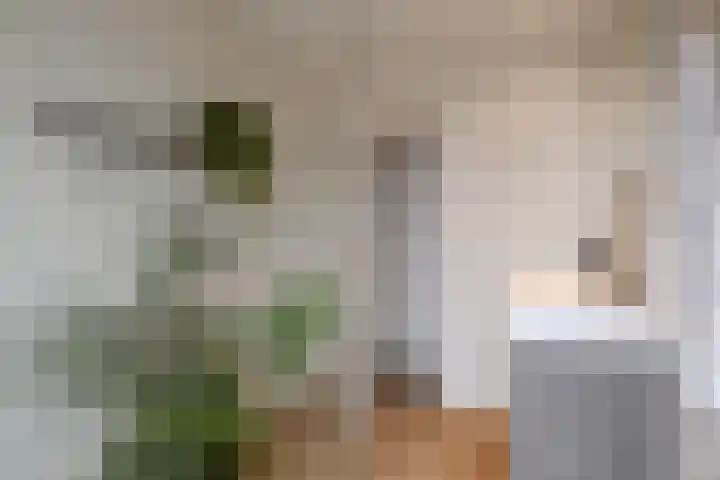 Möllenbergstraat 16 Losser thumbnail 32