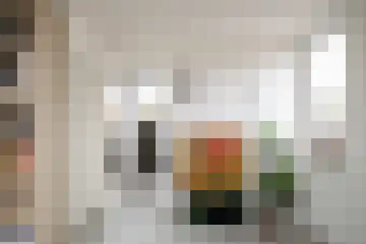 Möllenbergstraat 16 Losser thumbnail 41