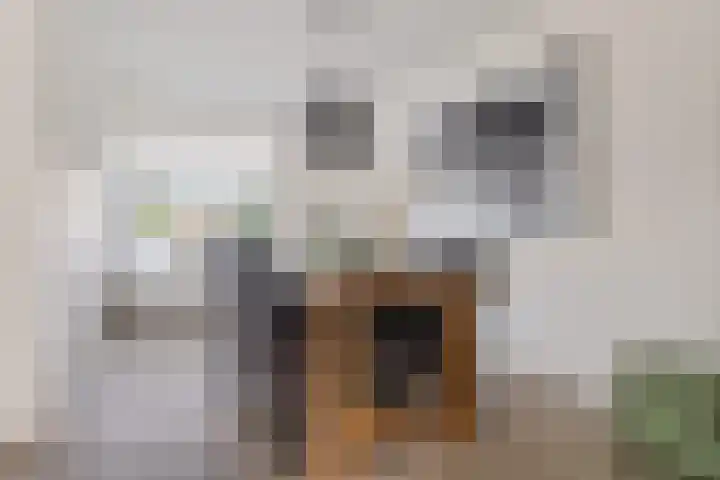 Möllenbergstraat 37 Losser thumbnail 10