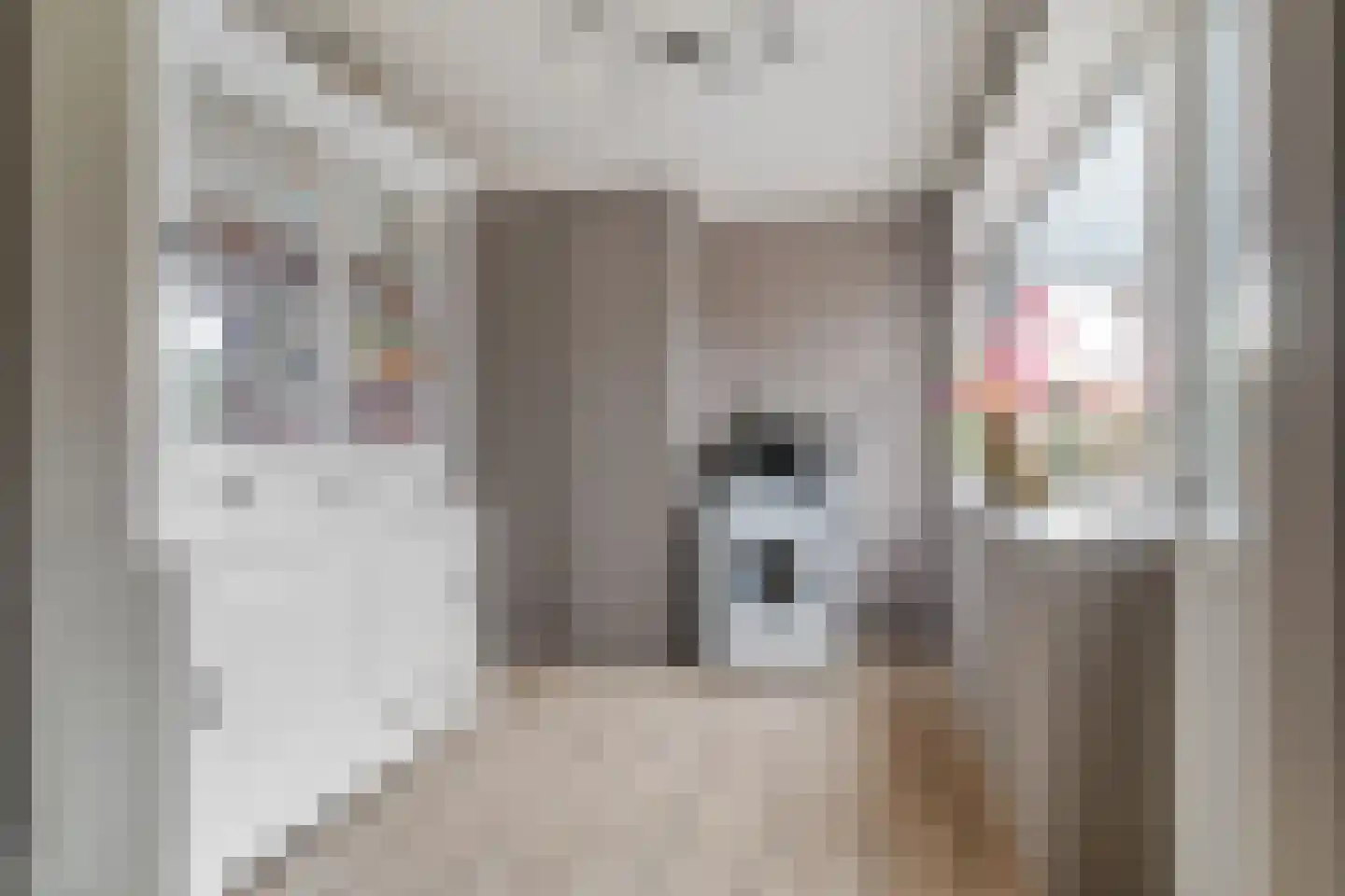Möllenbergstraat 37 Losser thumbnail 24