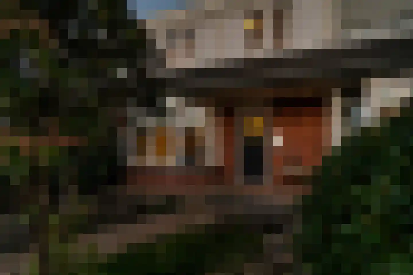 Möllenbergstraat 37 Losser thumbnail 4